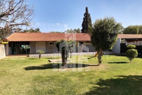 WhatsApp Image 2021-05-12 at 12.17.55