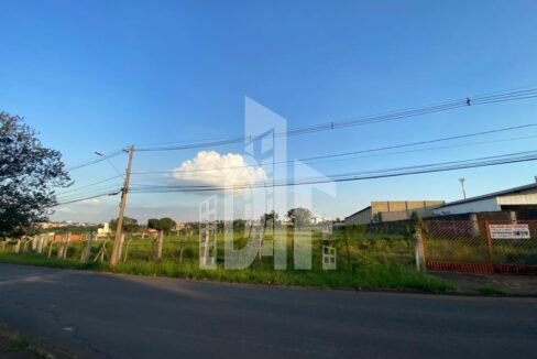 WhatsApp Image 2023-03-24 at 11.05.06