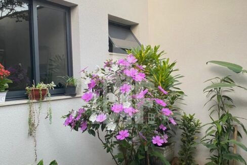 9ec7f5d5-9367-4aef-af8e-09dbf3ea2cfa