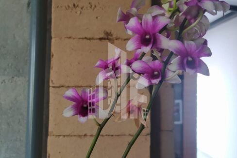 26a104e4-de42-4d78-a861-0998186cb7ed