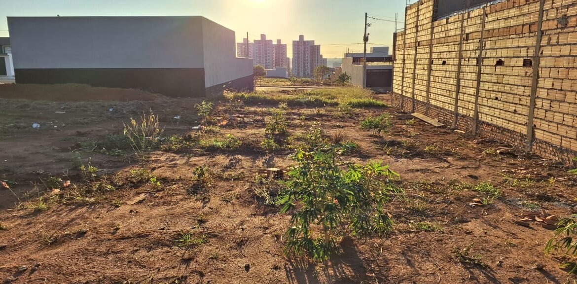 96b8c771-1623-4c06-b22b-a01e9abb4ae8